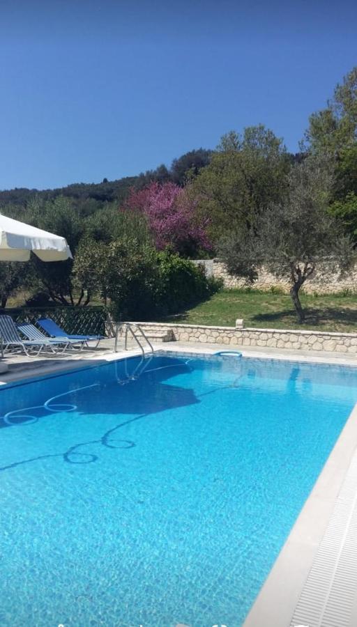 Pool Villa Grigoris Aspiotades 外观 照片