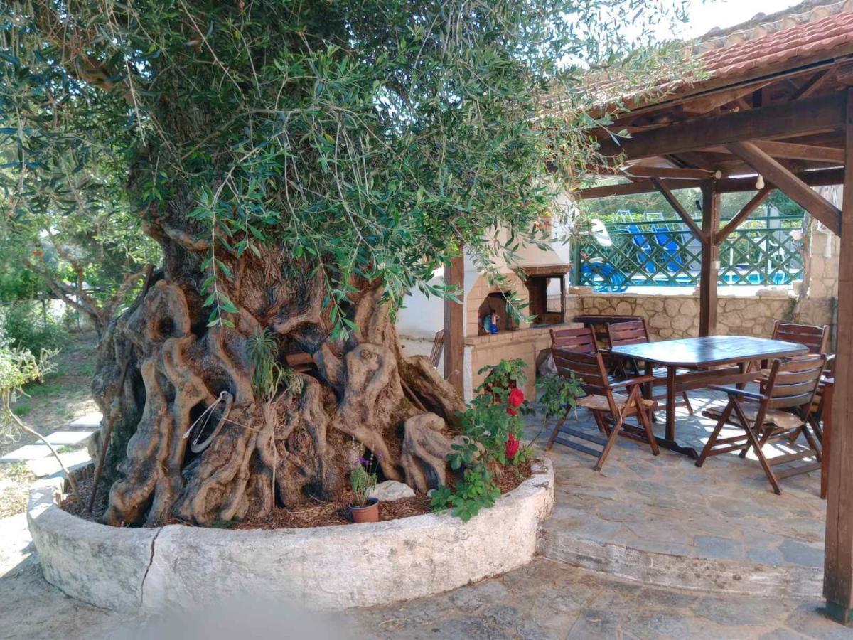 Pool Villa Grigoris Aspiotades 外观 照片